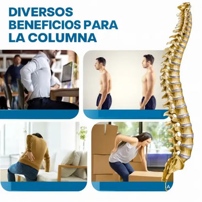 Masajeador de Espalda – Bienestar y Relajación para tu Zona Lumbar